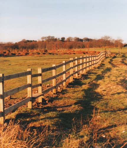 fencing in sun