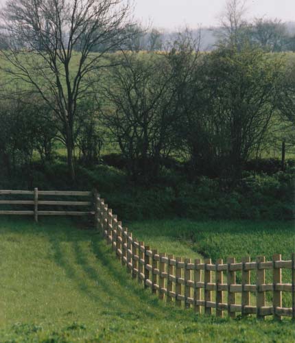 long field fencing